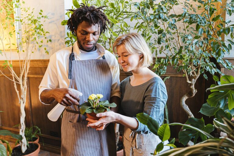 Effective Tips for Keeping Your Houseplants Healthy and Thriving